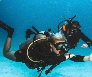 Professional image alt title