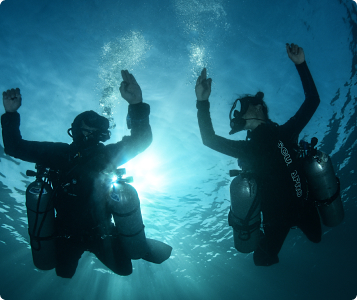 Specialities image alt title