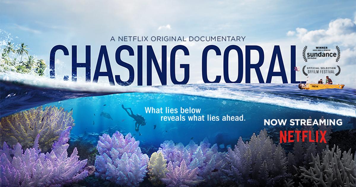 Chasing Coral Documentary