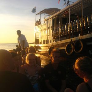 Kohtaodiving Nightdive Sukelluskeskus Thaimaa